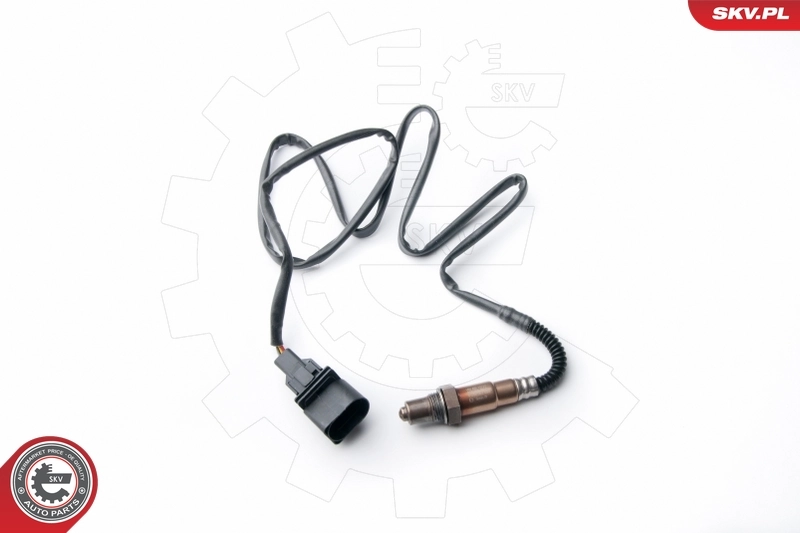 Oxygen Sensor